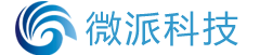 天津市微派科技发展有限公司