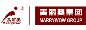 美丽奥集团