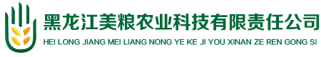 美粮国际