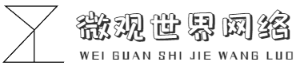 成都市微观世界网络科技有限公司