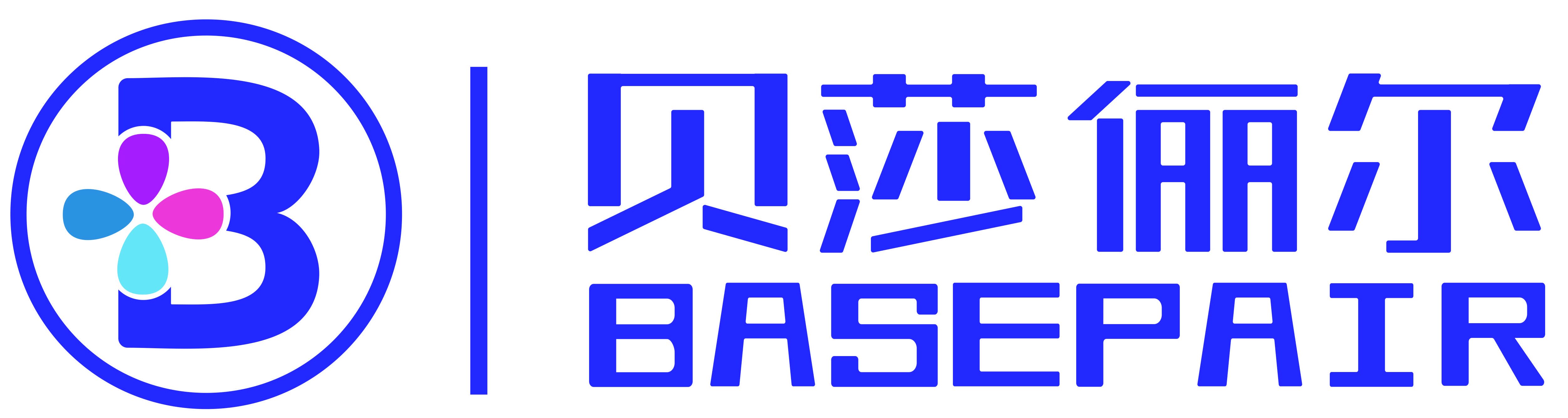 首页
