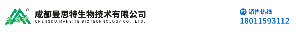 首页