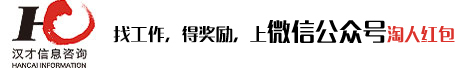 汉才信息咨询