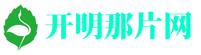 那片网