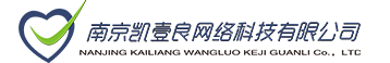 南京SEO公司