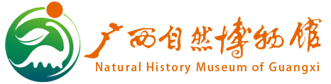 广西自然博物馆
