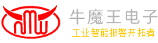 山东牛魔王电子科技有限公司