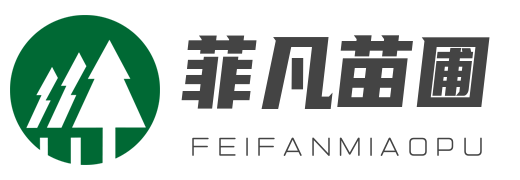 雪松