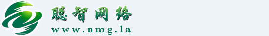 聪智网络