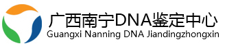 【广西南宁亲子鉴定中心官网】0771