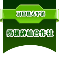 夏邑县勇钢种植专业合作社