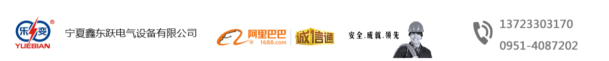 乐变变压器,箱式变压器,宁夏变压器厂
