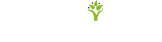 首页