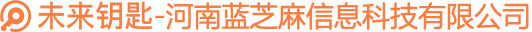 河南蓝芝麻信息科技有限公司