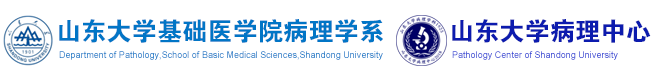 山东大学基础医学院医病理学系/山东大学病理中心