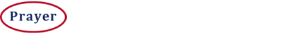 涂层面料