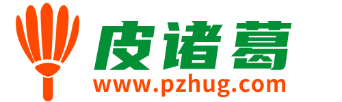 皮诸葛