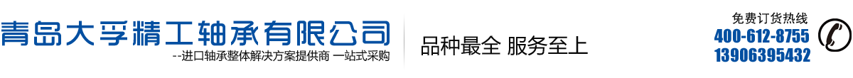 青岛大孚精工轴承有限公司