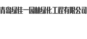 青岛绿植