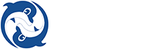 齐炫科技