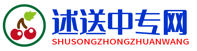 述送中专网