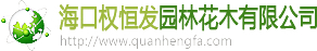 海南园林