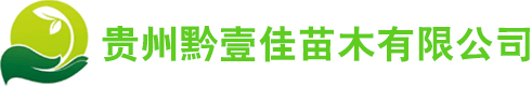 贵州黔壹佳苗木有限公司,蜂糖李,蜂糖李苗基地,六马蜂糖李,安顺蜂糖李,贵州蜂糖李苗