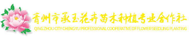 青州市承玉花卉苗木种植专业合作社