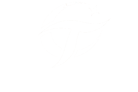 平行进口车官网