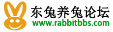 东兔养兔论坛