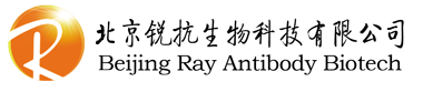 北京锐抗生物科技有限公司