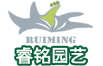 昆明盆栽批发/云南盆栽