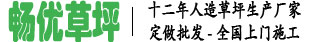 扬州市畅优草坪地毯有限公司