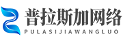 普拉斯加网络