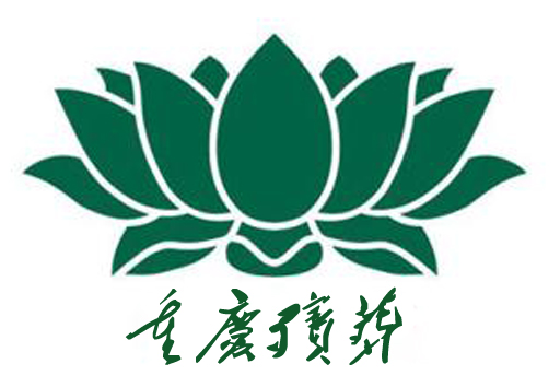 重庆石桥铺