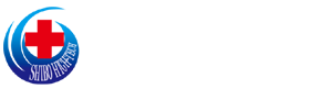 专业服务