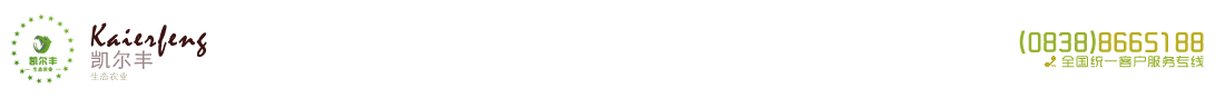 首页