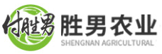 简阳晚白桃