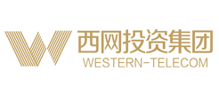 四川西网投资集团有限公司