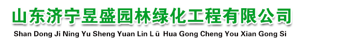 白蜡价格