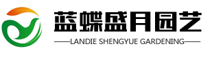 枣庄石榴树