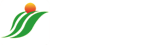 山东唐和智能科技有限公司