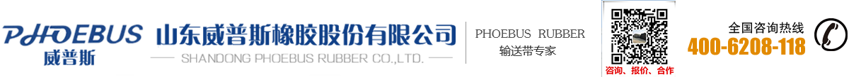 山东威普斯橡胶股份有限公司