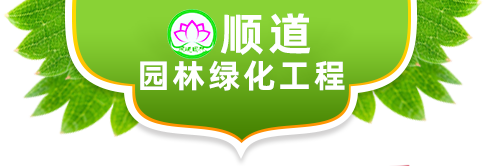 河北顺道园林绿化工程有限公司