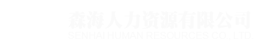 开封市森海人力资源有限公司