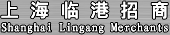 上海临港招商