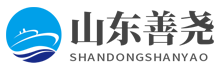 山东善尧信息科技有限公司
