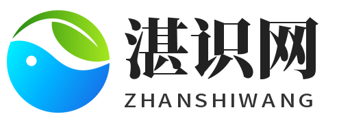 湛识网