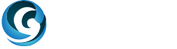上海公司网址