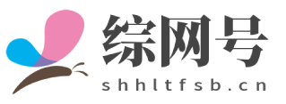 综网号